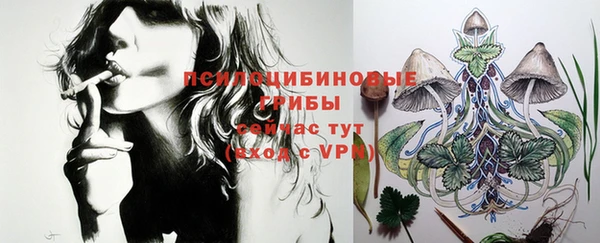 хмурый Тобольск
